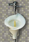 beautiful urinals
